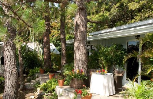 Boquete Hotel | Discover Comfort at Hotel Panamonte: Rated 9/10 with Eco Amenities