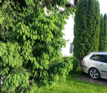 Niederfuellbach Hotel | Pet-Friendly Hotel Panorama with Breakfast & Dining Options