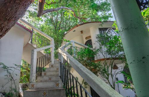 Xilitla Hotel | Discover Hotel Paraíso Encantado with Oceanfront Bliss