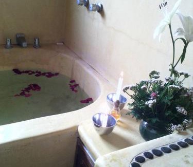 Coacoyul Bed & Breakfast | Discover Hotel Paradise Lagoon: Oceanfront Bliss Awaits