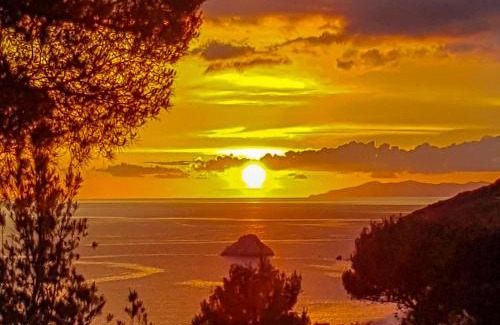 Portoferraio Hotel | Discover Hotel Paradiso: Oceanfront Oasis with Pool