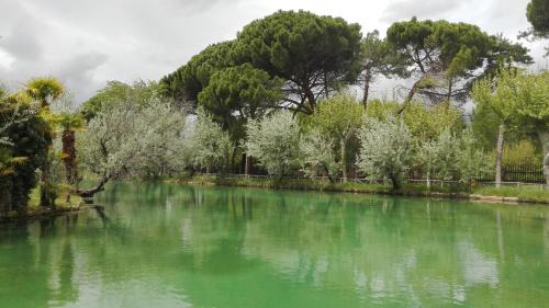 Alhama de Aragon Hotel | Relaxing Getaway at Hotel Parque Balneario Termas Pallares