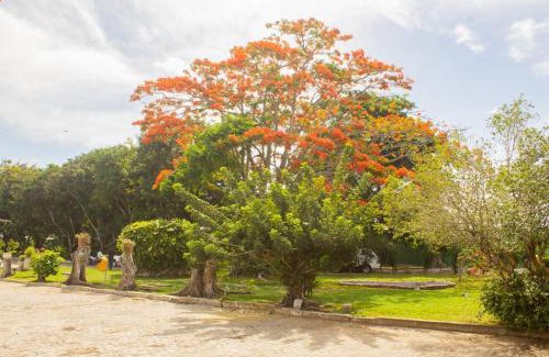 Parnamirim Hotel | Budget-Friendly Getaway at Hotel Parque do Sol with Pool