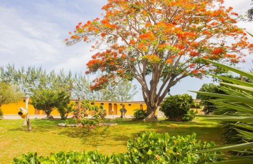 Parnamirim Hotel | Budget-Friendly Getaway at Hotel Parque do Sol with Pool