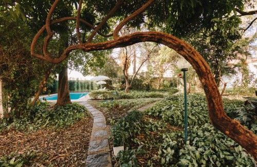 Indaiatuba Hotel | Pet-Friendly Hotel Passaledo with Pool & Ocean View