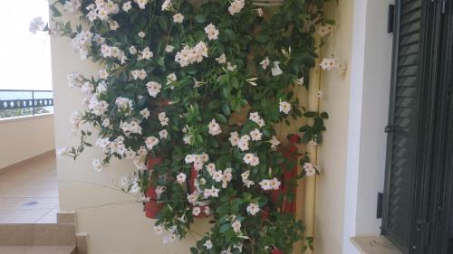 Poulithra Apartment | Top-Rated Hotel Patelis: Family-Friendly & Accessible Stay