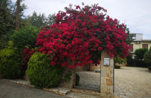Poulithra Apartment | Top-Rated Hotel Patelis: Family-Friendly & Accessible Stay