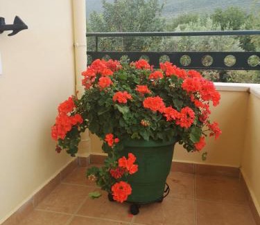 Poulithra Apartment | Top-Rated Hotel Patelis: Family-Friendly & Accessible Stay