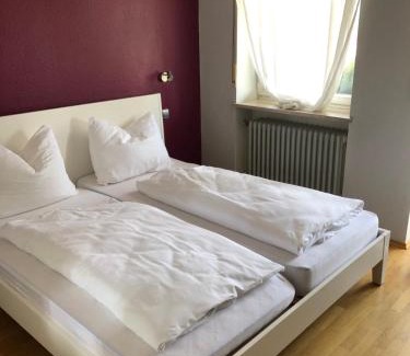 Pocking Hotel | Pet-Friendly Getaway at Hotel Pflieger: Family-Focused Stay