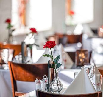 Bronderslev Hotel | Explore Hotel Phønix Brønderslev: Pet-Friendly Retreat