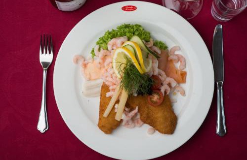 Bronderslev Hotel | Explore Hotel Phønix Brønderslev: Pet-Friendly Retreat