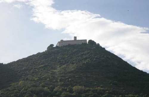 Cassino Hotel | Discover Hotel Piazza Marconi: Pet Friendly & Family-Friendly