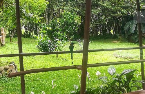 Desamparados Hotel | Inviting Hotel Pibi Boreal: Rated 9/10 with Breakfast Included