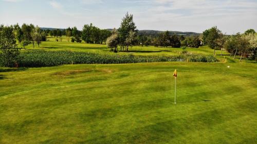 Spalene Porici Hotel | Discover Hotel Pod Kokšínem: Pet-Friendly Retreat