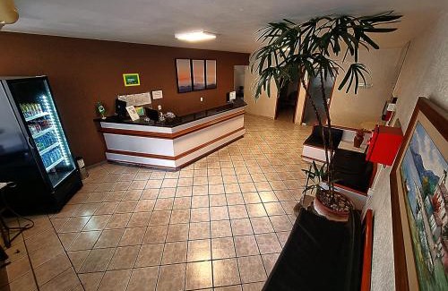 Florianopolis Hotel | Pet-Friendly Hotel Pontal with Top Amenities and Great Ratings