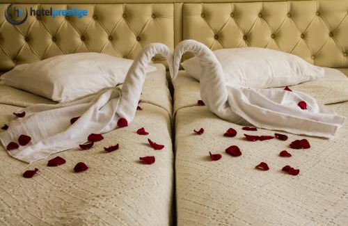 Saint-Josse-ten-Noode Hotel | Inviting Hotel Prestige: Family-Friendly Stays Await You