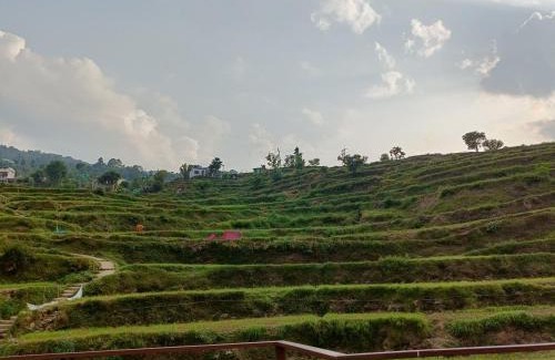 Narainkoti Hotel | Budget-Friendly Stay at Hotel Pushpdeep with Restaurant Access