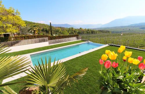 Pianizza Di Sopra Hotel | Hotel Römerrast: Pet-Friendly Stay with Pool & Ocean Views