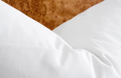 Tettnang Hotel | Pet-Friendly Hotel Rad with Great Guest Ratings