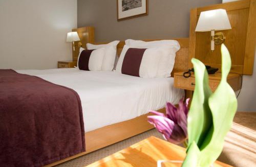 Castelo Branco Hotel | Discover Hotel Rainha D. Amélia: Arts, Spa & Family Fun