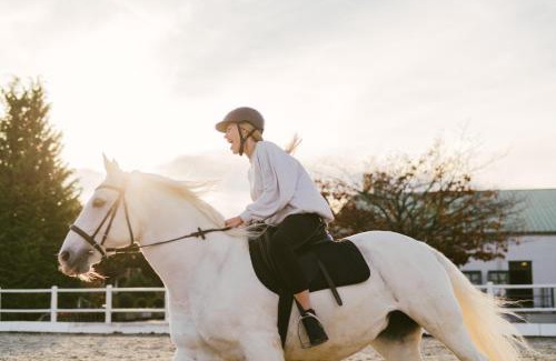Bad Tatzmannsdorf Hotel | Discover Hotel Reiters Finest Family: Pet-Friendly Comfort