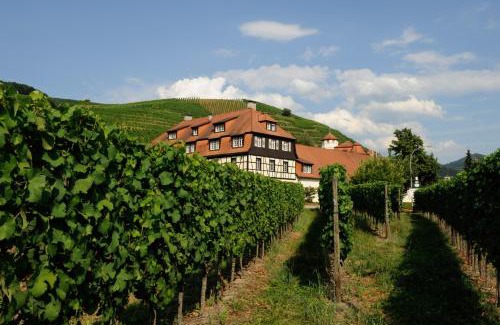 Steinbach Hotel | Inviting Hotel Residenz im Schloss Neuweier with Family Amenities