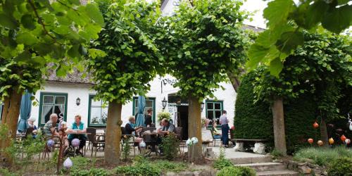 Elisabeth-Sophien-Koog Hotel | Discover Pharisäerhof: Pet-Friendly Getaway by the Sea