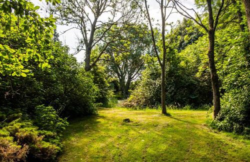 Elisabeth-Sophien-Koog Hotel | Discover Pharisäerhof: Pet-Friendly Getaway by the Sea