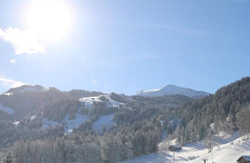 Oeschseite Hotel | Pet-Friendly Getaway at Hotel & Restaurant Diana, 8/10 Rated