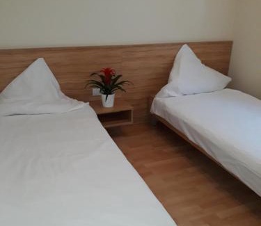Mannheim Hotel | Family-Friendly Stay at Hotel Restaurant Stern
