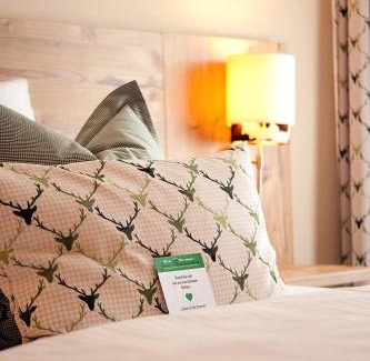 Boeblingen Hotel | Pet-Friendly Hotel & Restaurant Zum Reussenstein: Rated 8.9