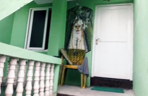 Sauraha Bed & Breakfast | Pet-Friendly Hotel Rhino Land with Spa & Restaurant in Sauraha