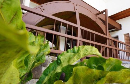 Piedades Norte Resort | Pet-Friendly Retreat at Hotel Ribera La Paz with Pool Access