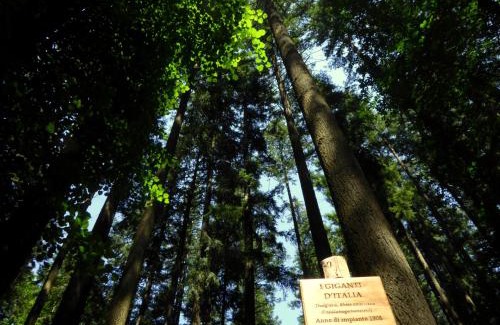 Vallombrosa Hotel | Eco-Friendly Retreat at Hotel Rifugio la Foresta