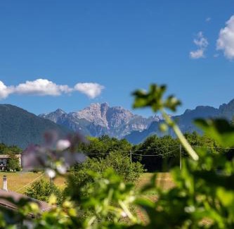 Feltre Hotel | Discover Hotel Ristorante Sagittario: Family-Friendly Stays