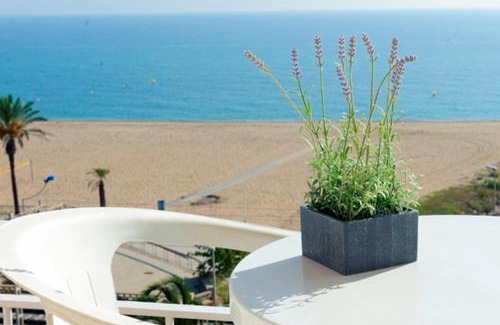 Malgrat de Mar Hotel | Discover Hotel Rosa Nàutica: Oceanfront & Pet Friendly Stay