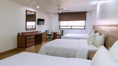 Cuauhtemoc Hotel | Discover Hotel San Lucas: Pet-Friendly with Delicious Dining