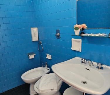 Valverde Hotel | Pet-Friendly Hotel Sara*** Cesenatico with Ocean View