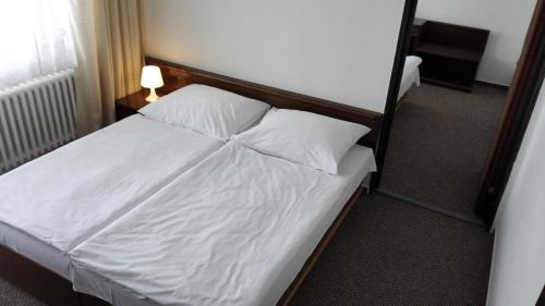 Poprad Hotel | Top-Rated Hotel SATEL: Family-Friendly Dining Awaits
