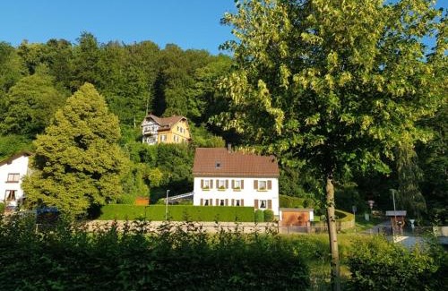 Nagold Hotel | Comfortable Stay at Hotel Schiff Nagold with Pet-Friendly Options