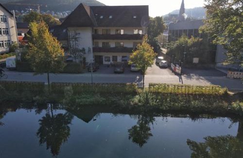 Nagold Hotel | Comfortable Stay at Hotel Schiff Nagold with Pet-Friendly Options