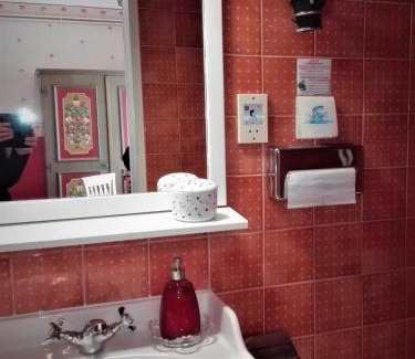 Hietzing Apartment | Pet-Friendly Comfort at Hotel Schneider-Gössl