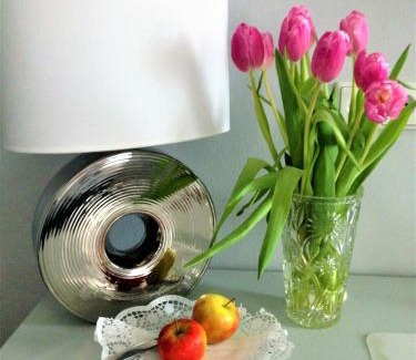 Hietzing Apartment | Pet-Friendly Comfort at Hotel Schneider-Gössl