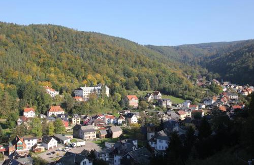 Schwarzburg Hotel | Cozy Hotel SchwarzaBurg: Pet-Friendly with Breakfast Included