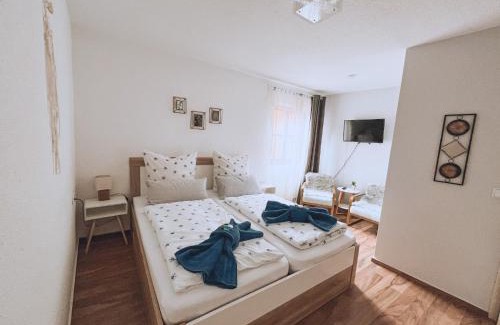 Schwarzach am Main Hotel | Cozy Hotel Schwarzach am Main: Pet-Friendly & Family Ready