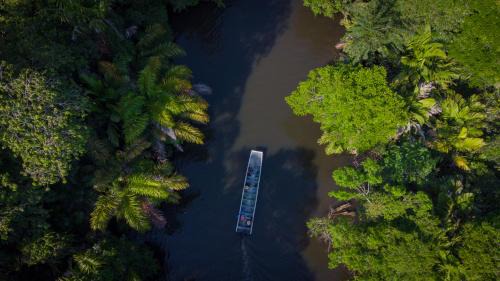 Tortuguero Hotel | Discover Hotel Serendipity: 4-Star Retreat with Dining