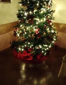 Prade Hotel | Oceanfront Hotel Serenella: Family-Friendly & Accessible Stay