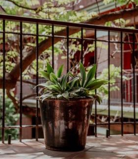 Centro Hotel | Experience Art and Relaxation at Hotel Siglo XVII Gallery