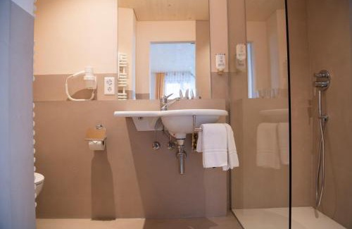 Lauterbrunnen Hotel | Discover Hotel Silberhorn: Pet-Friendly with Top Amenities