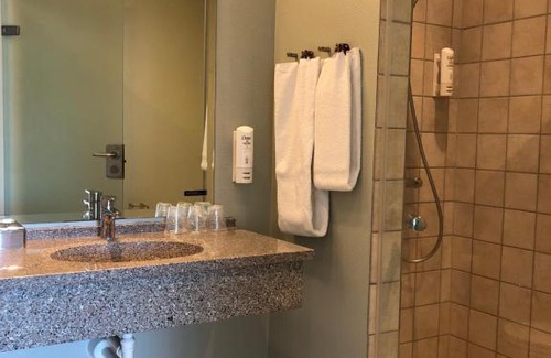 Skive Hotel | Pet-Friendly Retreat at Hotel Skivehus with Breakfast Included